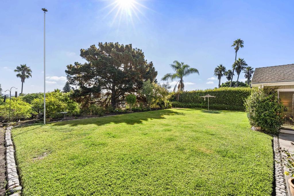 147 Witham Road Encinitas, CA 92024 - Photo 35 of 47 a garden view