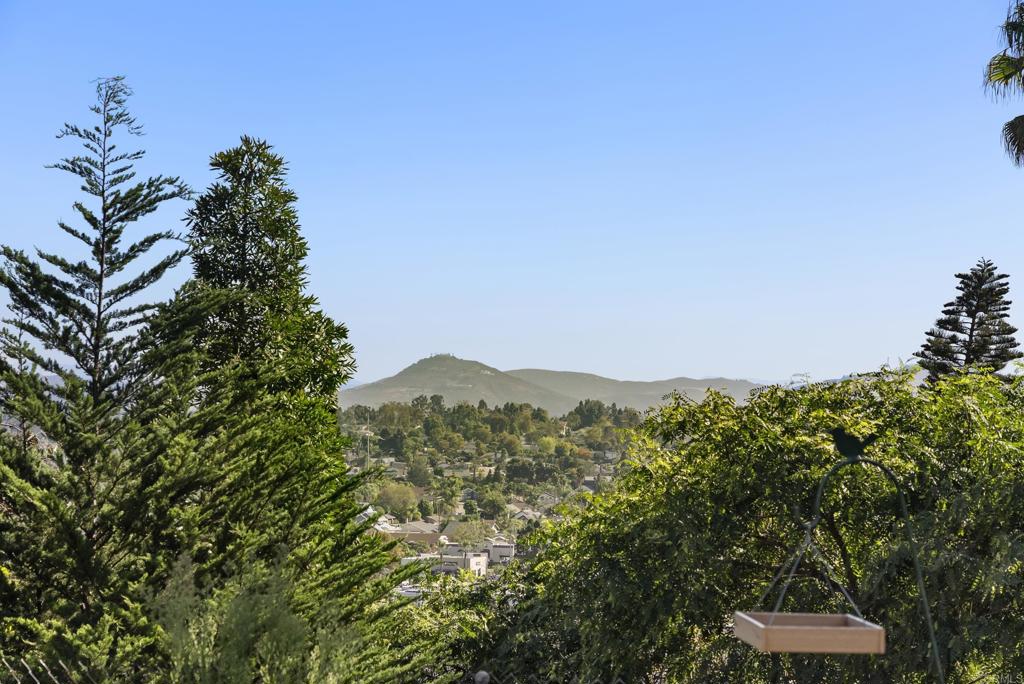 147 Witham Road Encinitas, CA 92024 - Photo 41 of 47 a view of a lush green field with lots of bushes