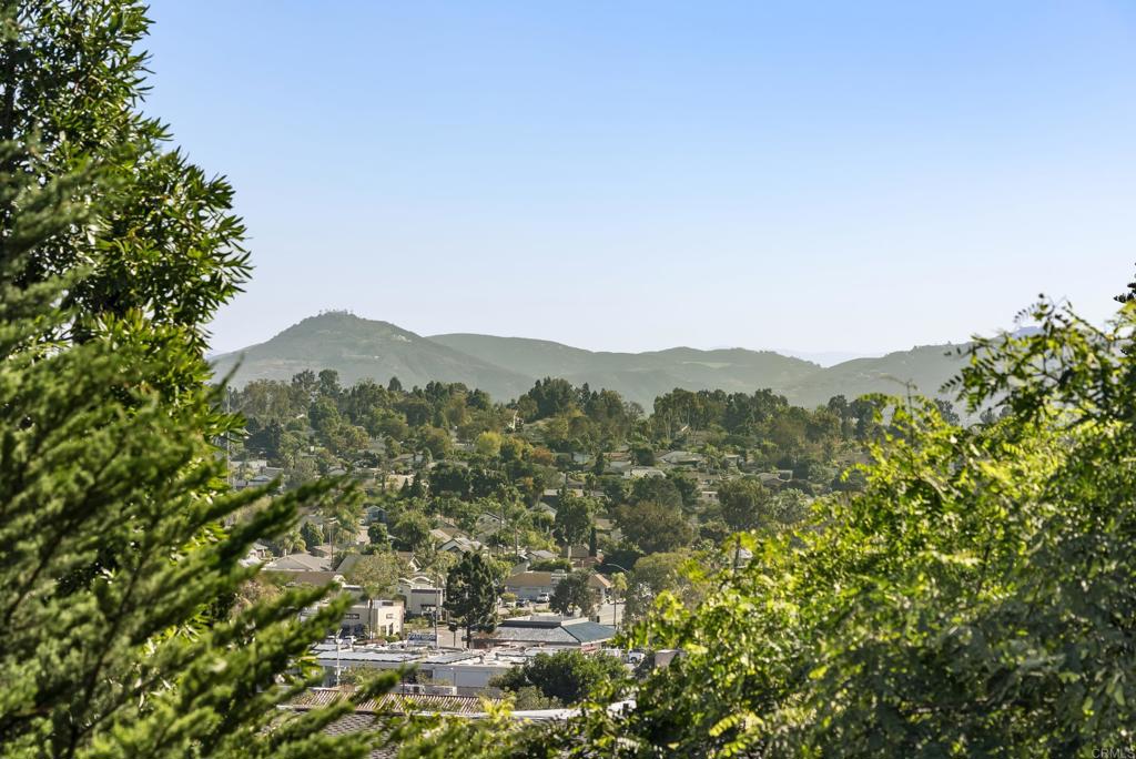 147 Witham Road Encinitas, CA 92024 - Photo 42 of 47 a view of a city