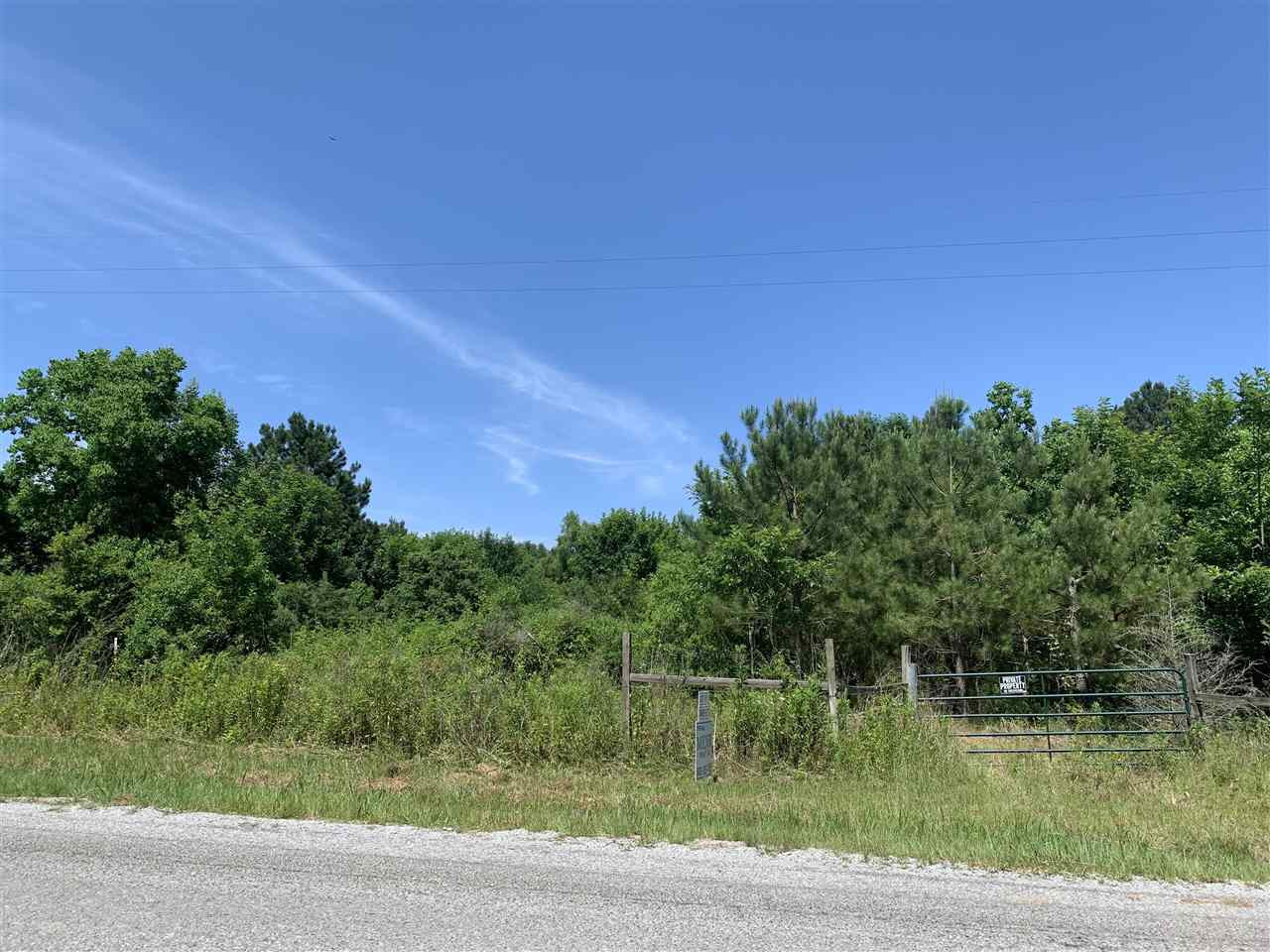 3 Tract 3 Snook Road, Unit N/A Morton, MS 39117 - Photo 1 of 1 Photo 1