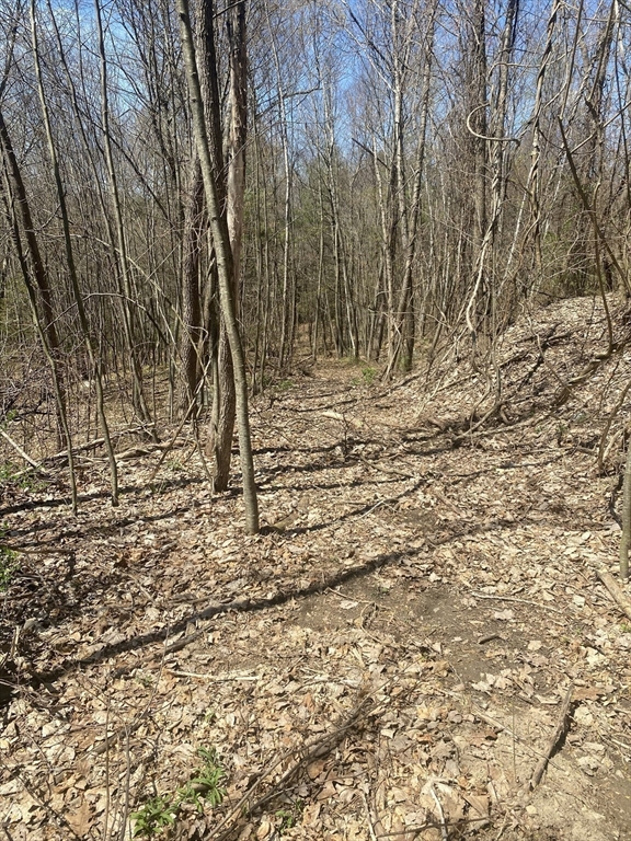 117 Munsing Ridge Granby, MA 01033 - Photo 4 of 9 a view of yard