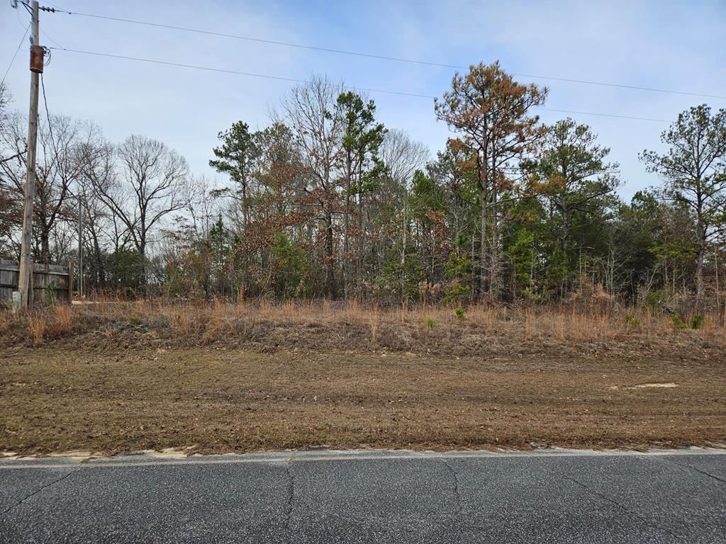 471 Old Louvale Road Cusseta, GA 31805 - Photo 4 of 26 Gallery Image 4