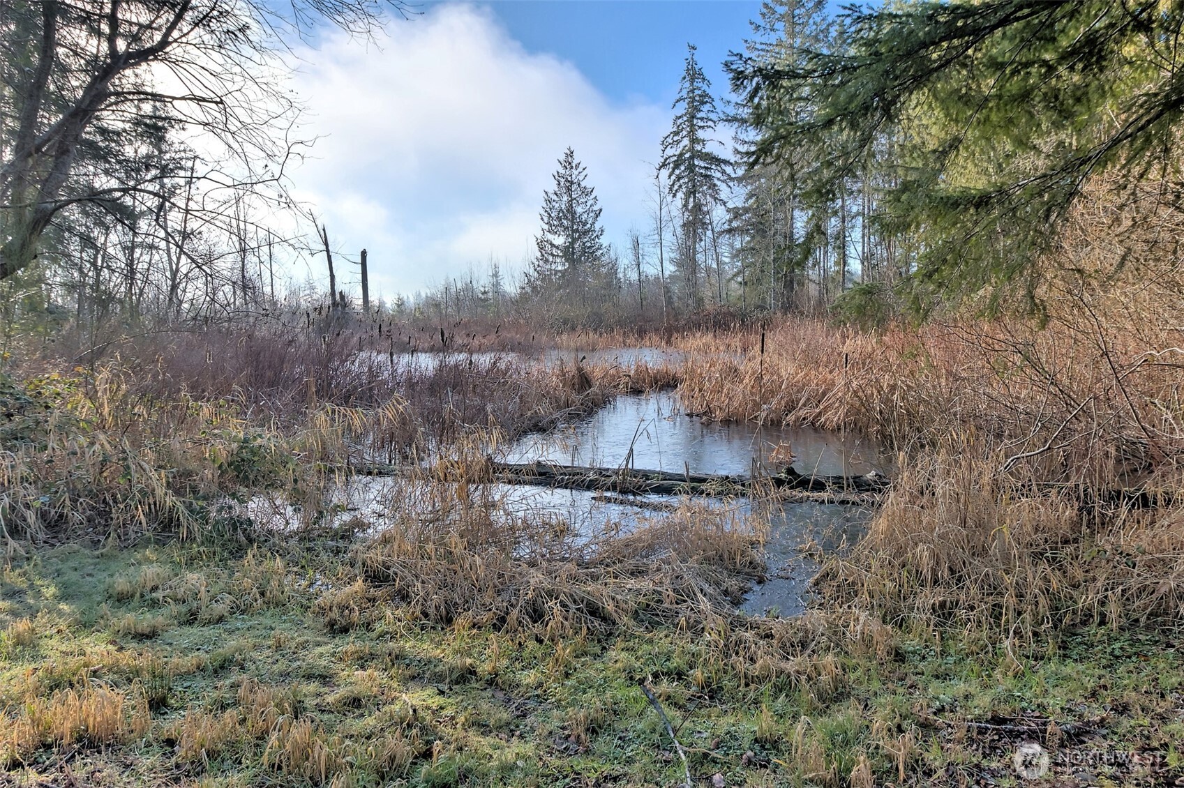 660 Southeast Cook Plant Farm Road Shelton, WA 98584 - Photo 12 of 27 a view of a yard with trees