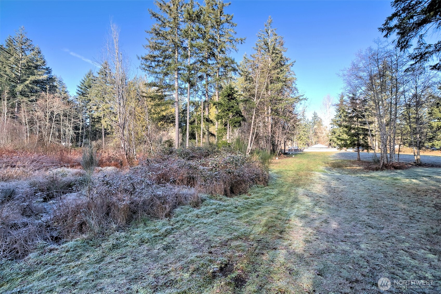 660 Southeast Cook Plant Farm Road Shelton, WA 98584 - Photo 13 of 27 a view of a yard with plants and trees