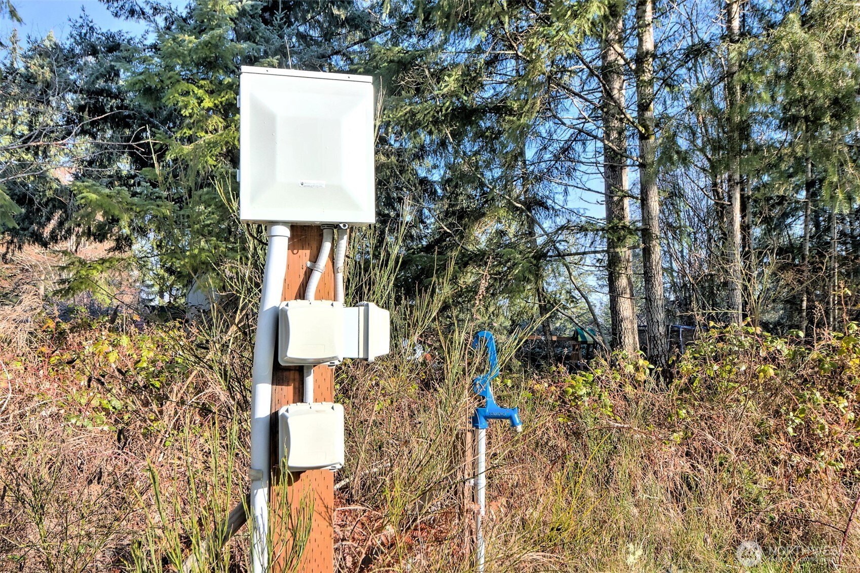 660 Southeast Cook Plant Farm Road Shelton, WA 98584 - Photo 16 of 27 a picture of a tree in a park