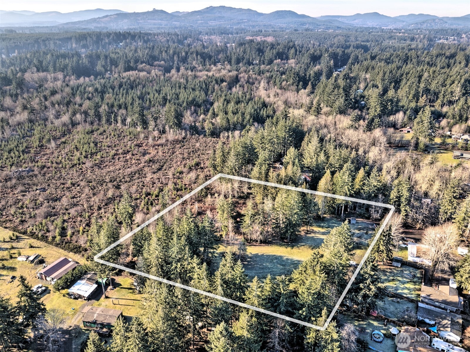 660 Southeast Cook Plant Farm Road Shelton, WA 98584 - Photo 25 of 27 a view of a forest with a mountain