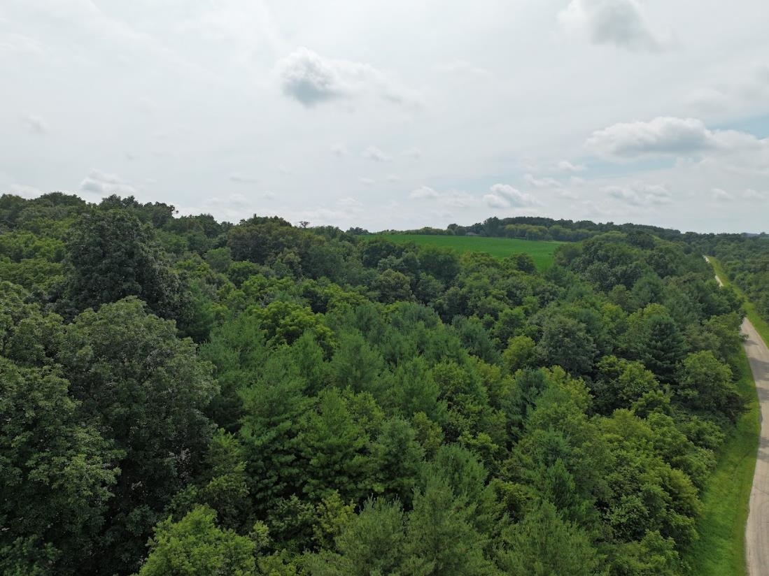 34.59 M/l Acres Riverbend Road Gratiot, WI 53541 - Photo 16 of 36