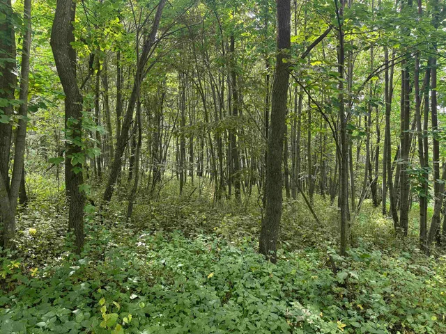 $435,000 | 34.59 M/l Acres Riverbend Road, Gratiot, WI 53541