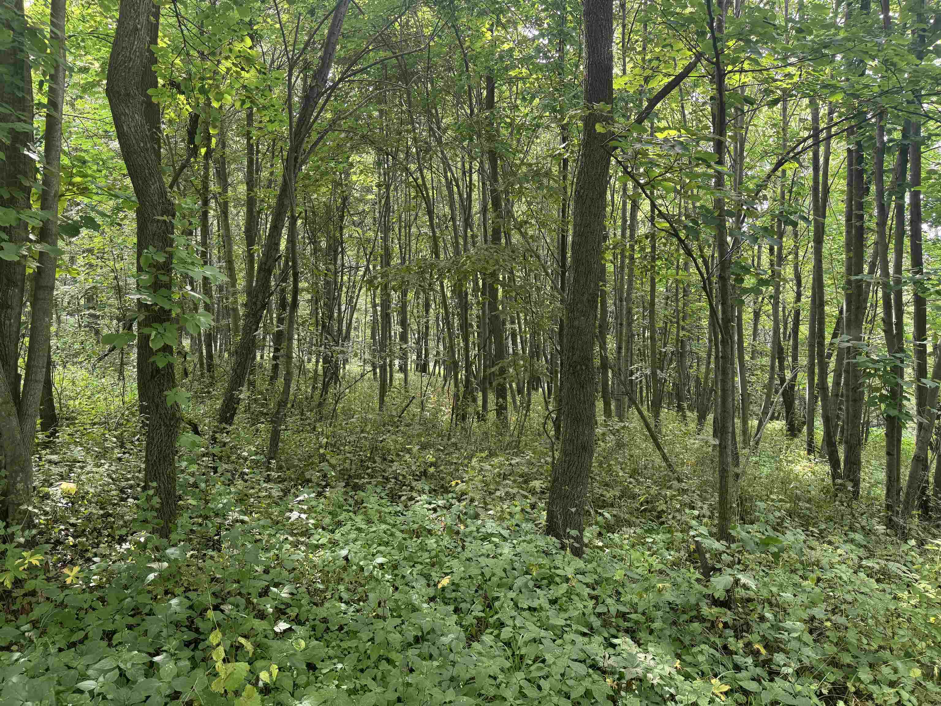 34.59 M/l Acres Riverbend Road Gratiot, WI 53541 - Photo 18 of 36