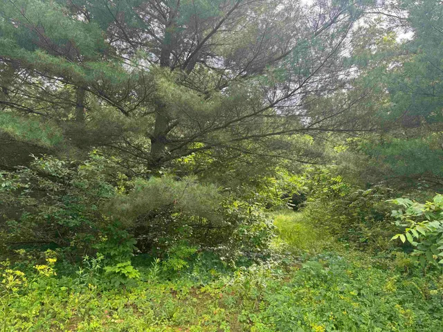 $435,000 | 34.59 M/l Acres Riverbend Road, Gratiot, WI 53541