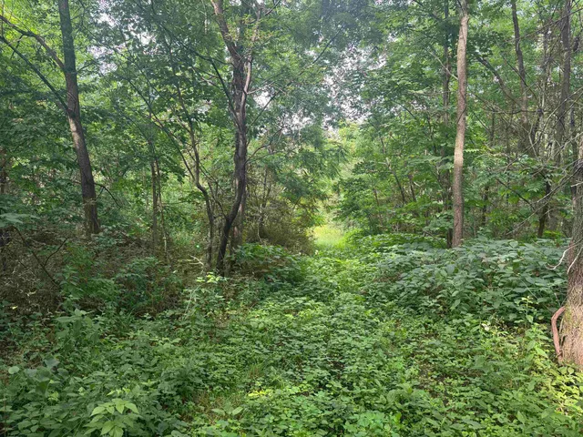 $435,000 | 34.59 M/l Acres Riverbend Road, Gratiot, WI 53541