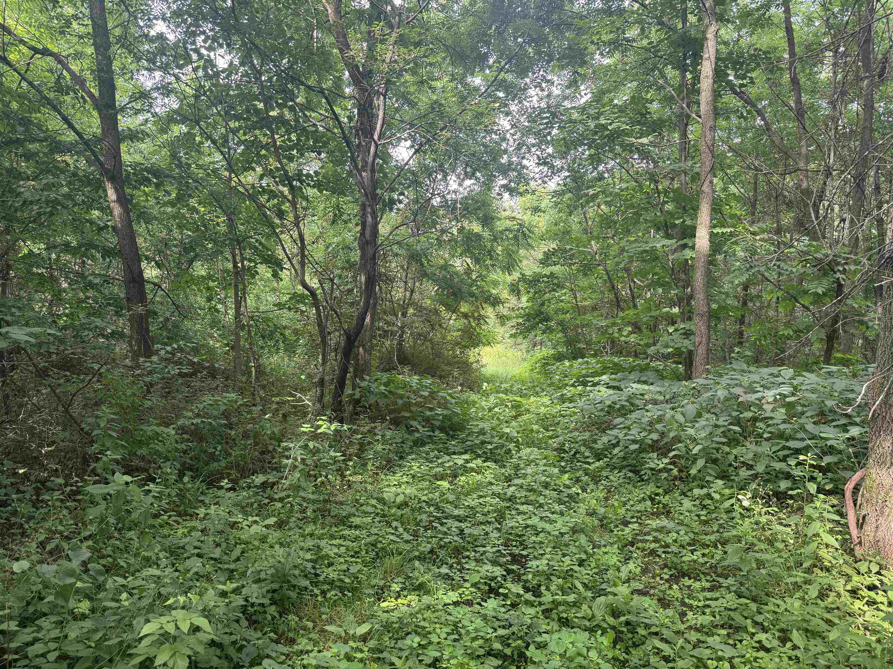 34.59 M/l Acres Riverbend Road Gratiot, WI 53541 - Photo 20 of 36