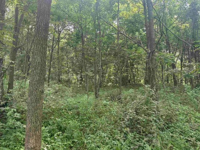 $435,000 | 34.59 M/l Acres Riverbend Road, Gratiot, WI 53541