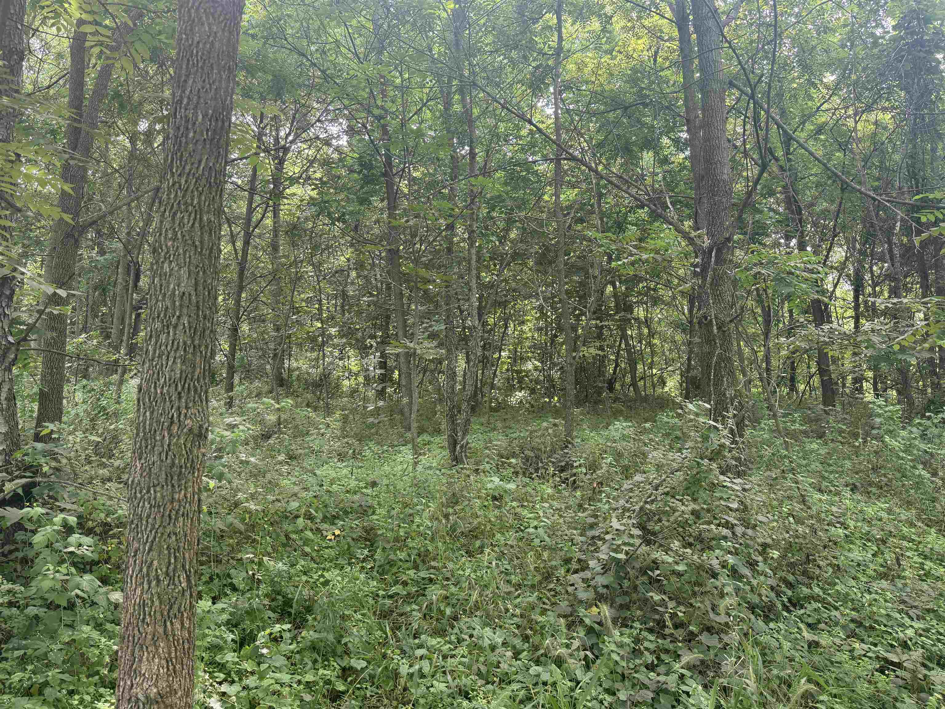 34.59 M/l Acres Riverbend Road Gratiot, WI 53541 - Photo 22 of 36