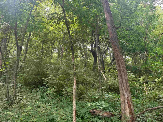 $435,000 | 34.59 M/l Acres Riverbend Road, Gratiot, WI 53541