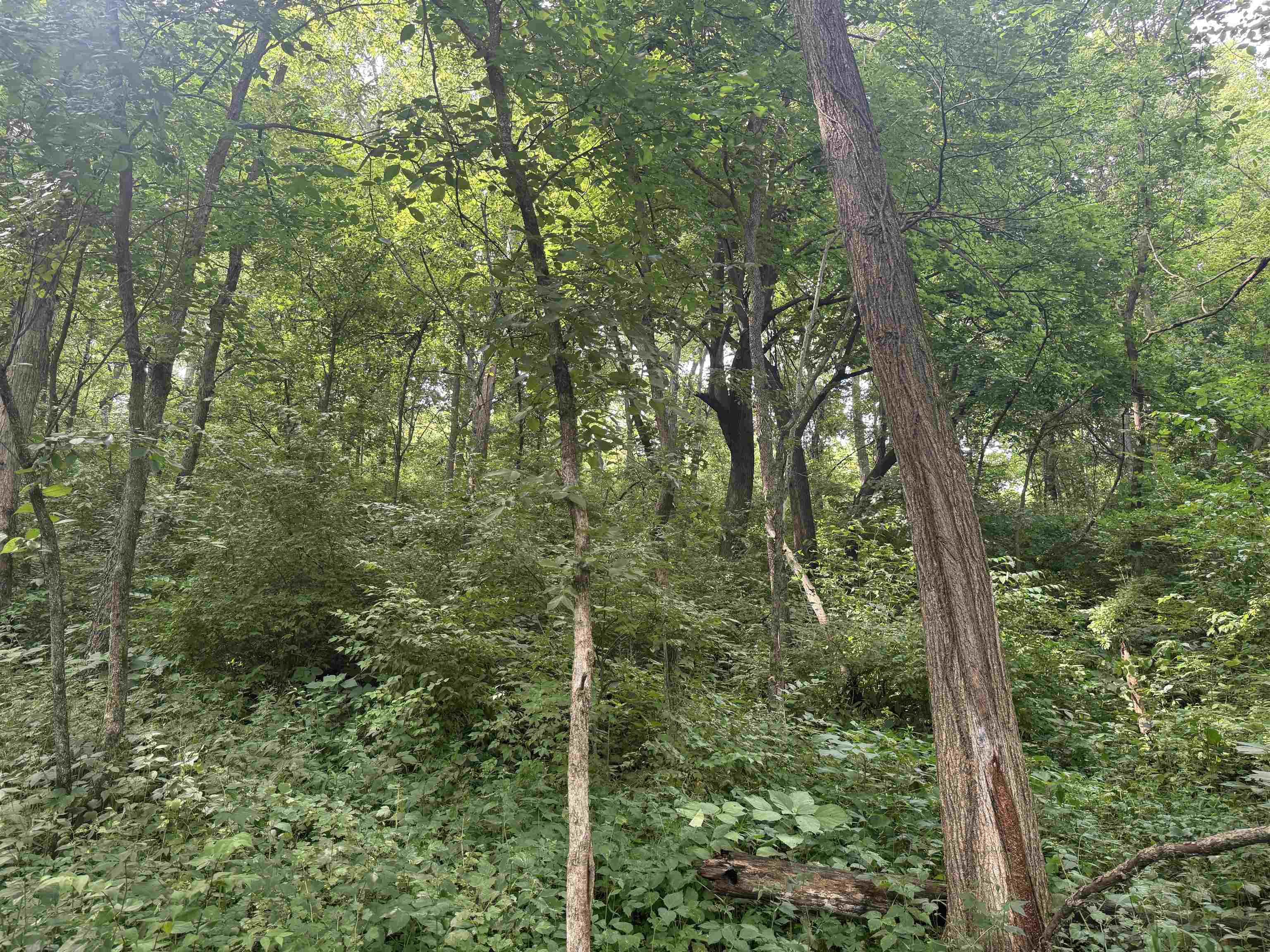 34.59 M/l Acres Riverbend Road Gratiot, WI 53541 - Photo 23 of 36