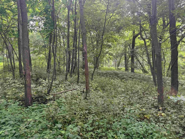 $435,000 | 34.59 M/l Acres Riverbend Road, Gratiot, WI 53541