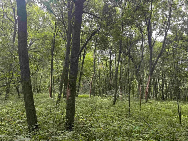 $435,000 | 34.59 M/l Acres Riverbend Road, Gratiot, WI 53541