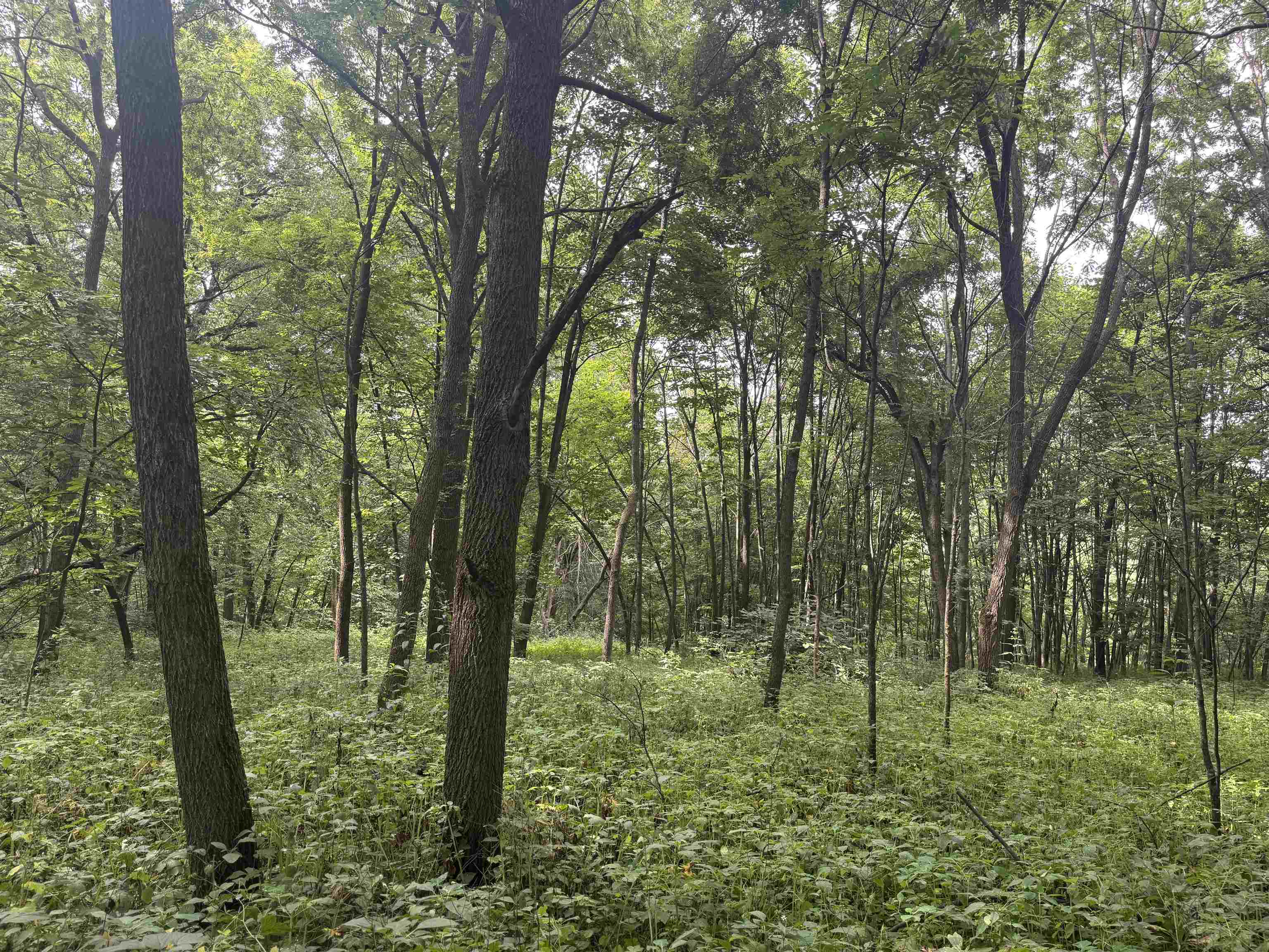 34.59 M/l Acres Riverbend Road Gratiot, WI 53541 - Photo 26 of 36