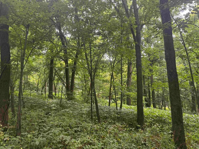 $435,000 | 34.59 M/l Acres Riverbend Road, Gratiot, WI 53541