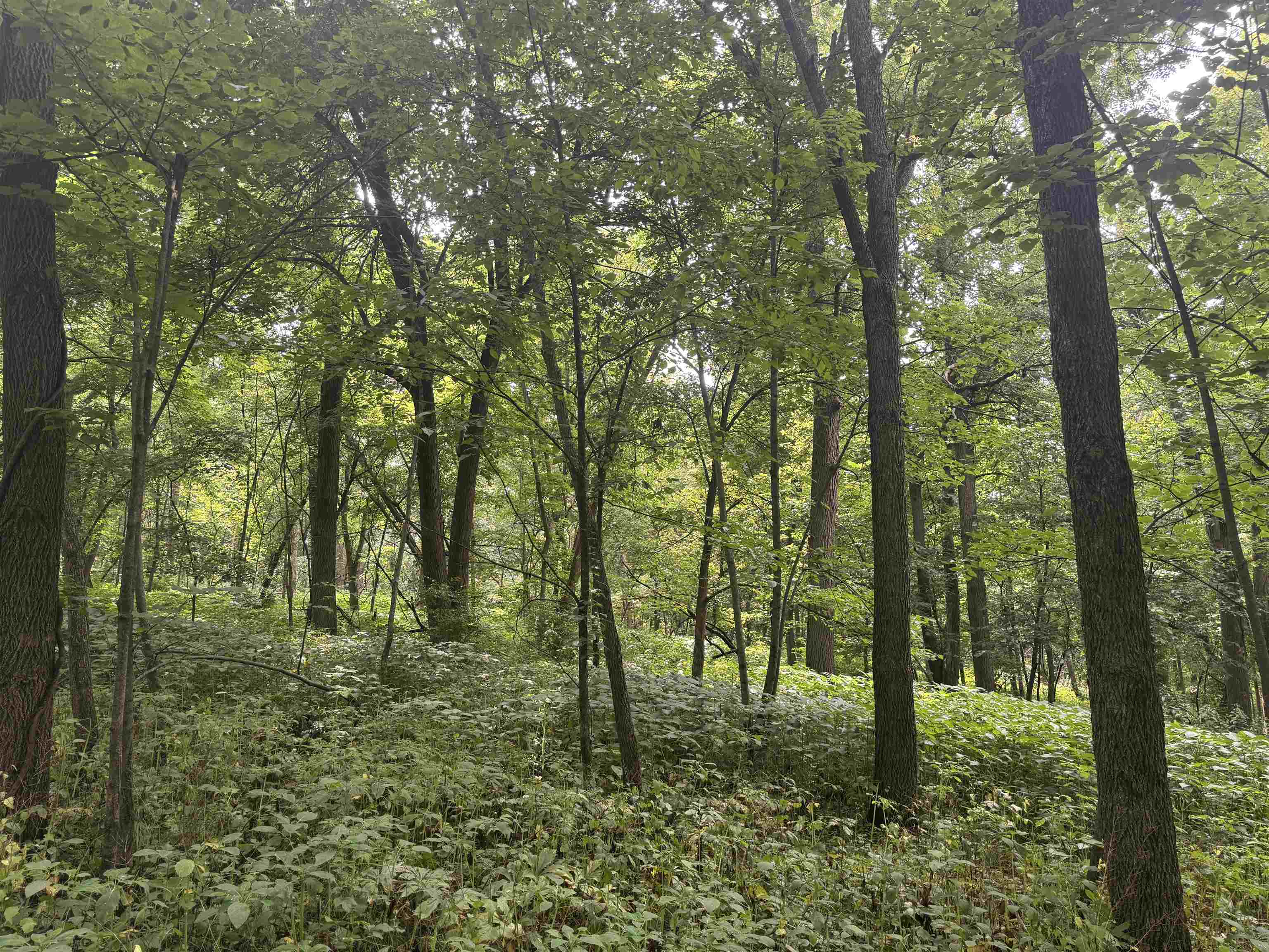 34.59 M/l Acres Riverbend Road Gratiot, WI 53541 - Photo 27 of 36