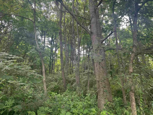 $435,000 | 34.59 M/l Acres Riverbend Road, Gratiot, WI 53541