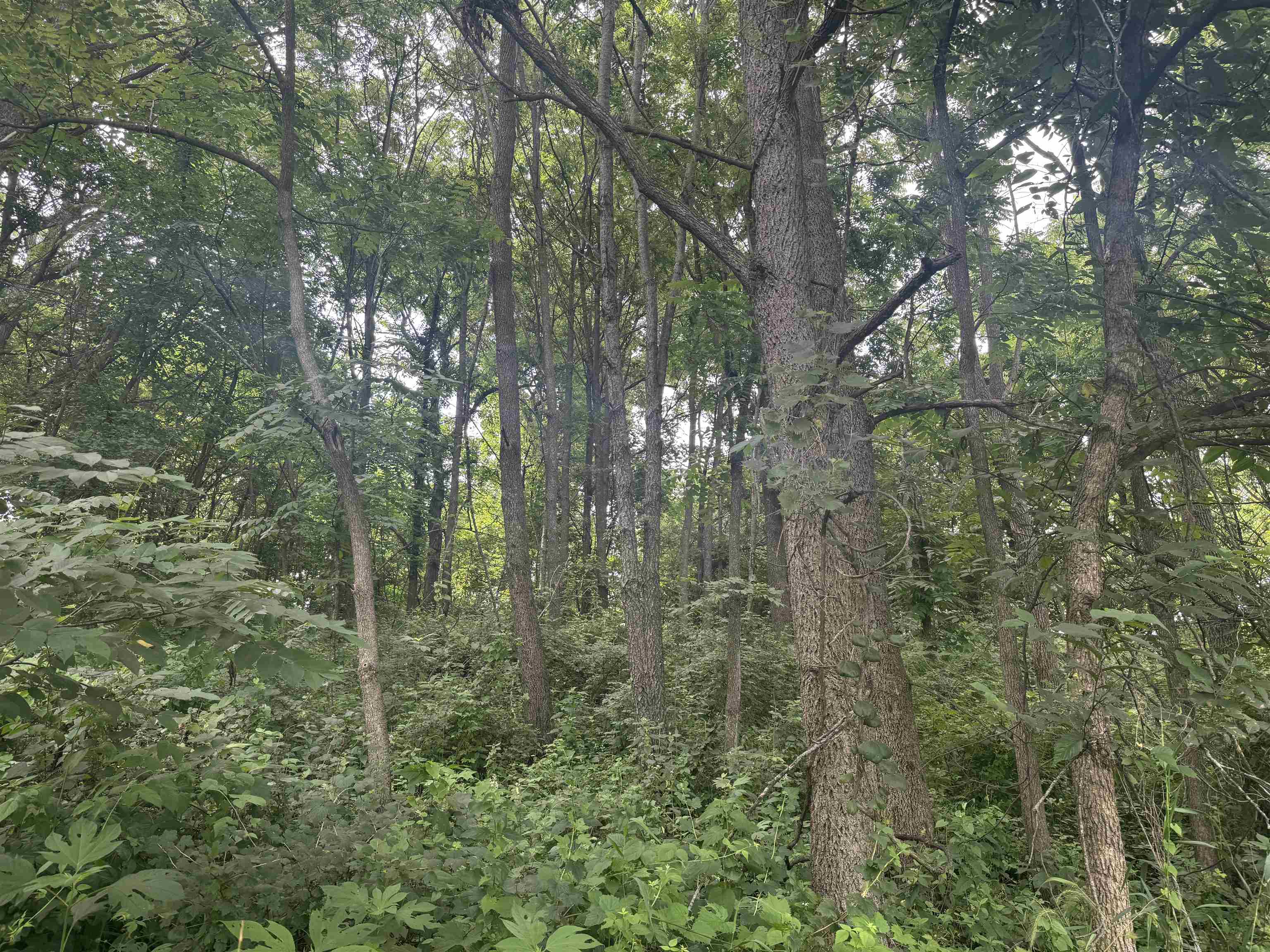 34.59 M/l Acres Riverbend Road Gratiot, WI 53541 - Photo 28 of 36