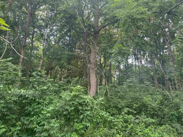 $435,000 | 34.59 M/l Acres Riverbend Road, Gratiot, WI 53541