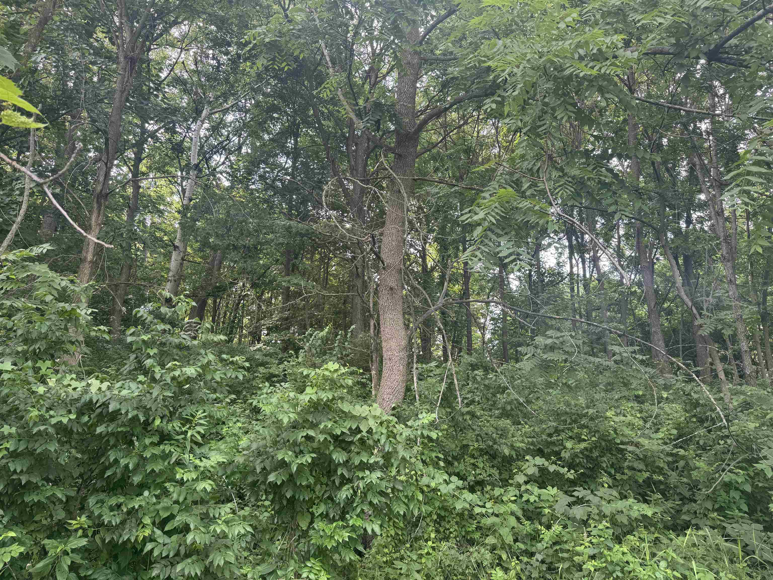 34.59 M/l Acres Riverbend Road Gratiot, WI 53541 - Photo 29 of 36