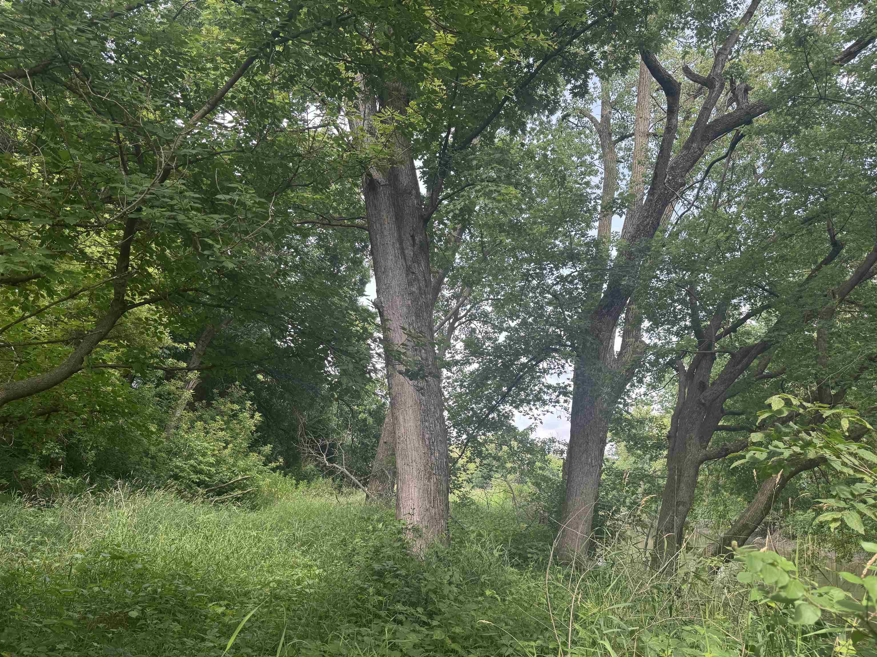 34.59 M/l Acres Riverbend Road Gratiot, WI 53541 - Photo 30 of 36