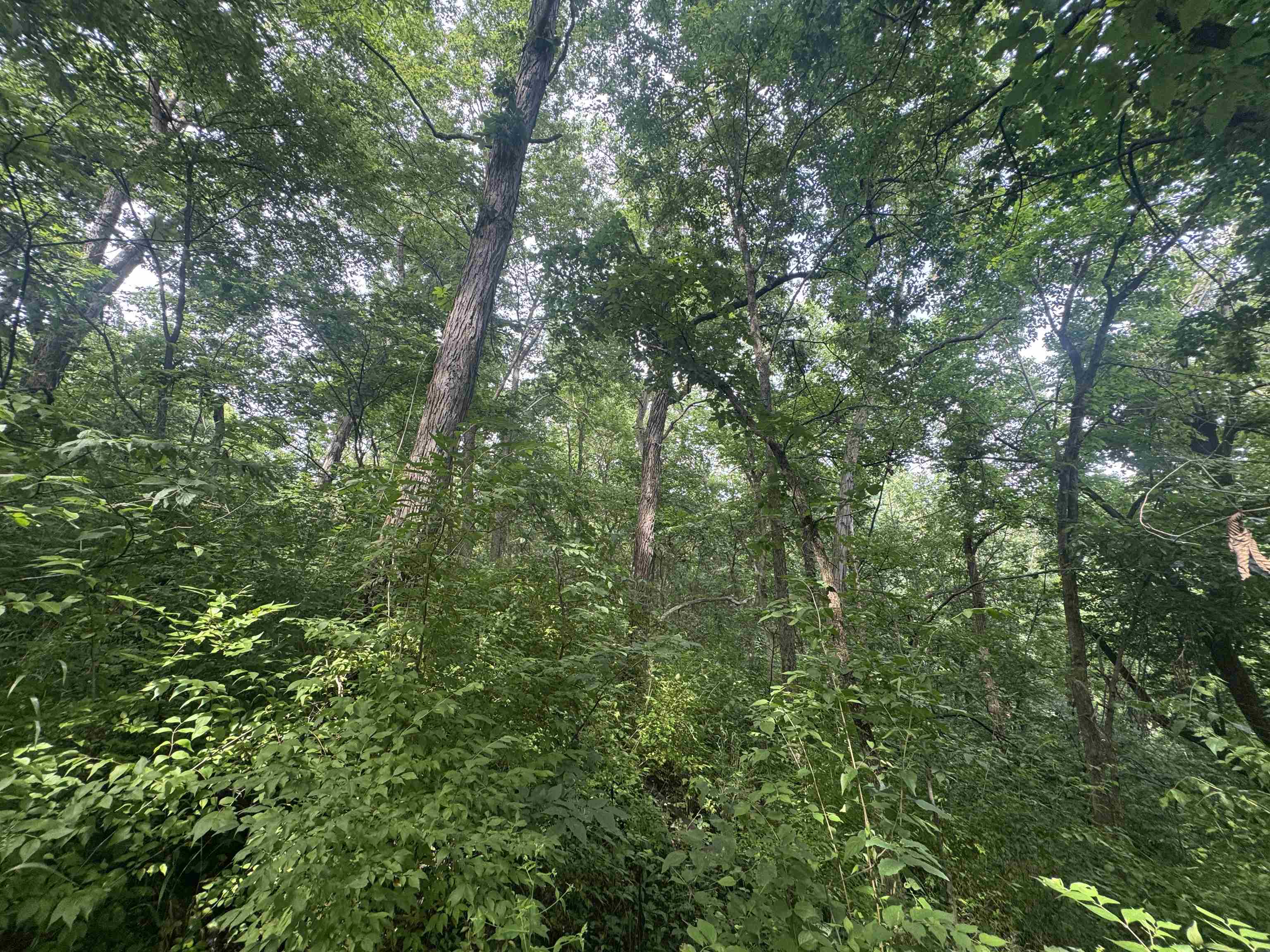 34.59 M/l Acres Riverbend Road Gratiot, WI 53541 - Photo 31 of 36