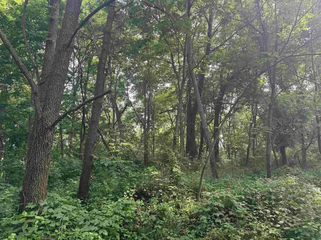 $435,000 | 34.59 M/l Acres Riverbend Road, Gratiot, WI 53541