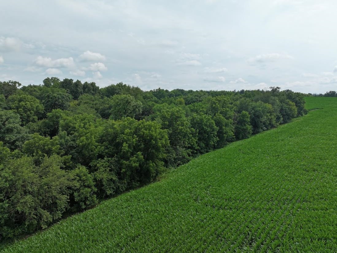 34.59 M/l Acres Riverbend Road Gratiot, WI 53541 - Photo 9 of 36