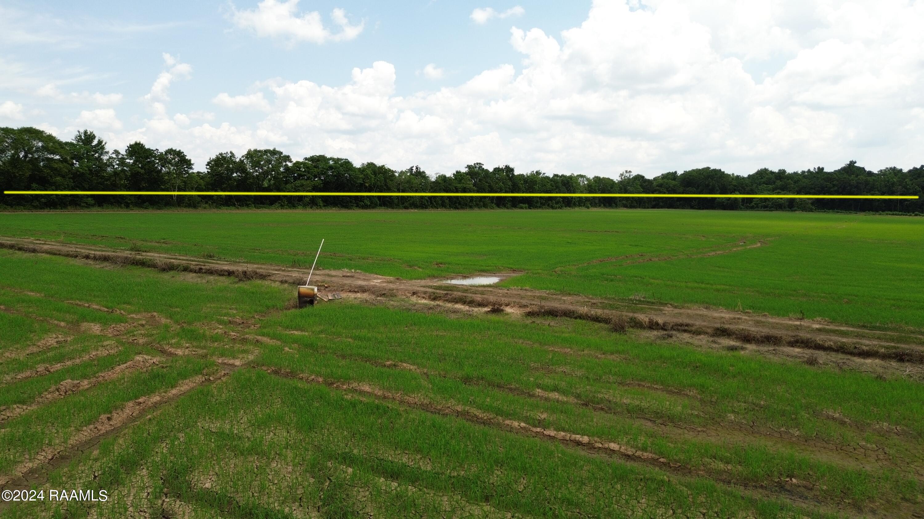 Tbd Spillway Road St. Landry, LA 71367 - Photo 13 of 18 Middle 2