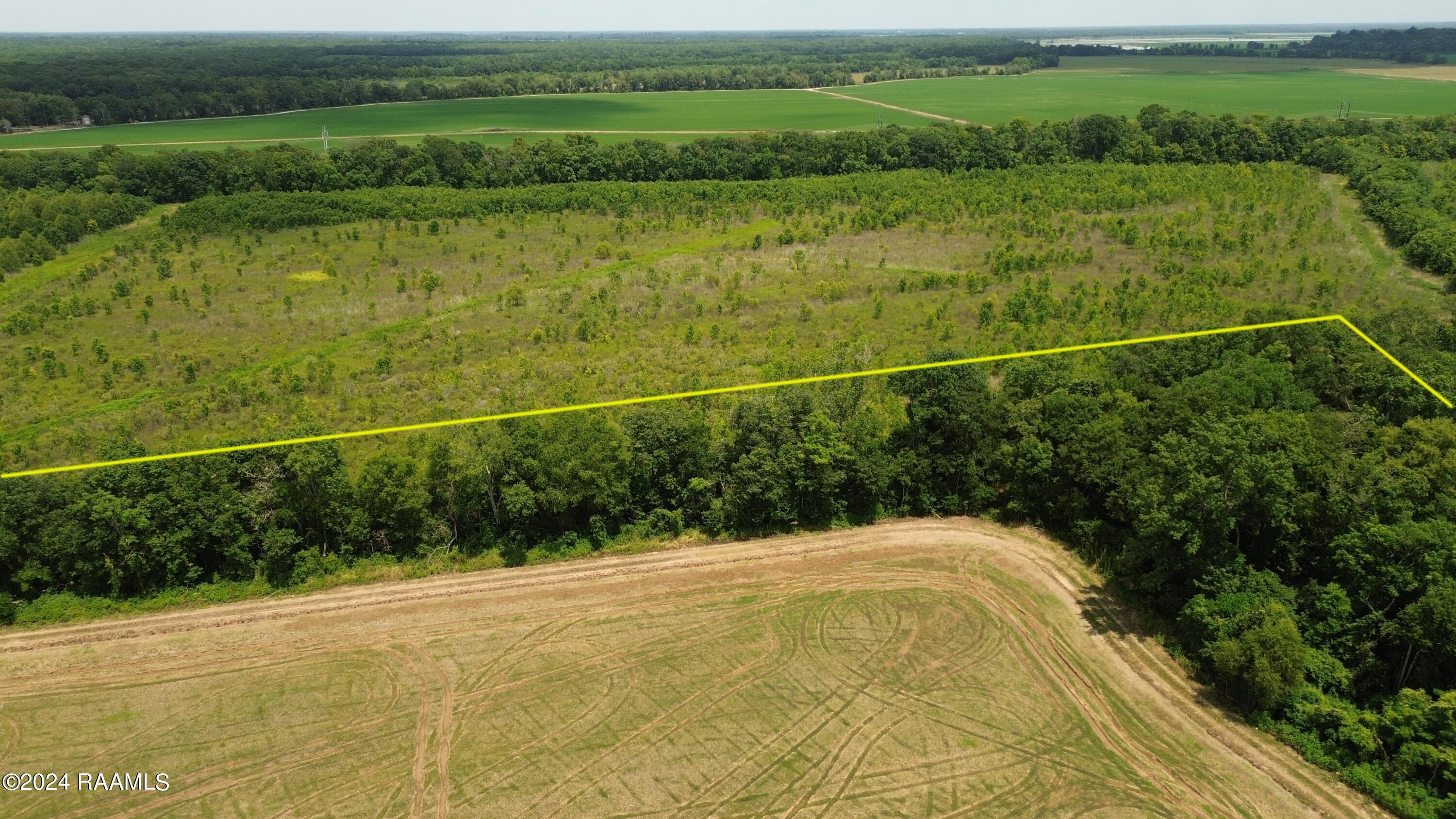 Tbd Spillway Road St. Landry, LA 71367 - Photo 7 of 18 Deer Field