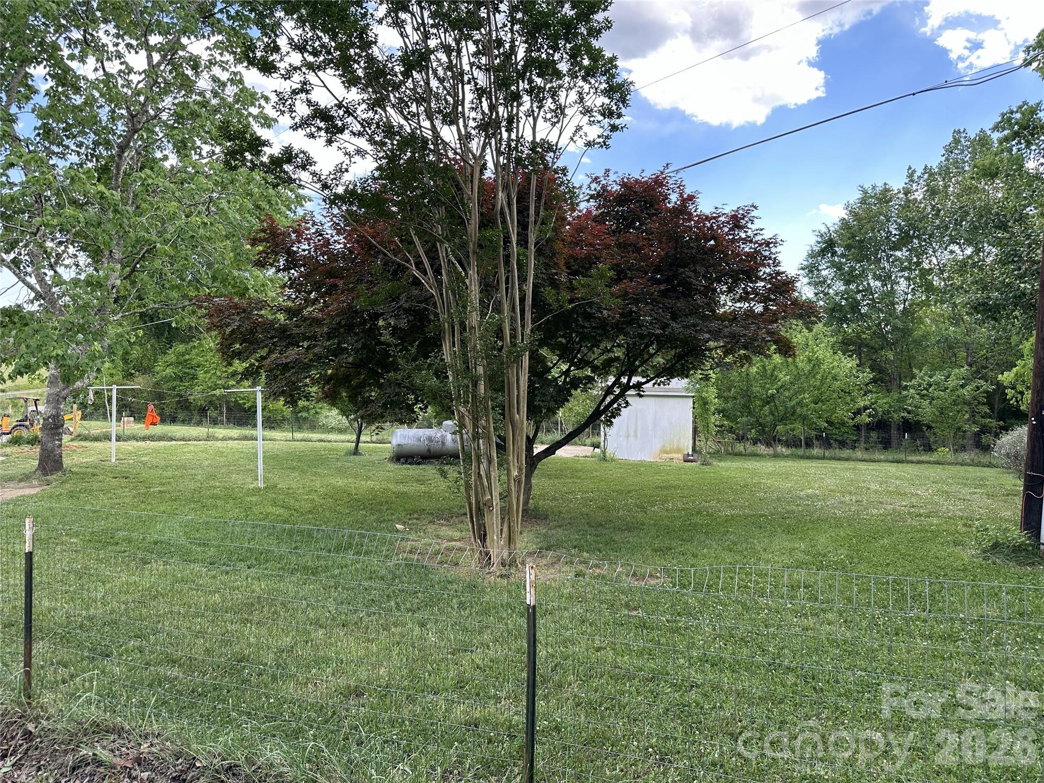495 Grays Creek Church Road Rutherfordton, NC 28139 - Photo 5 of 12 a view of a tree in a yard