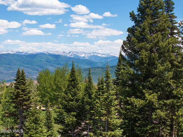 a view of a bunch of trees in a field
