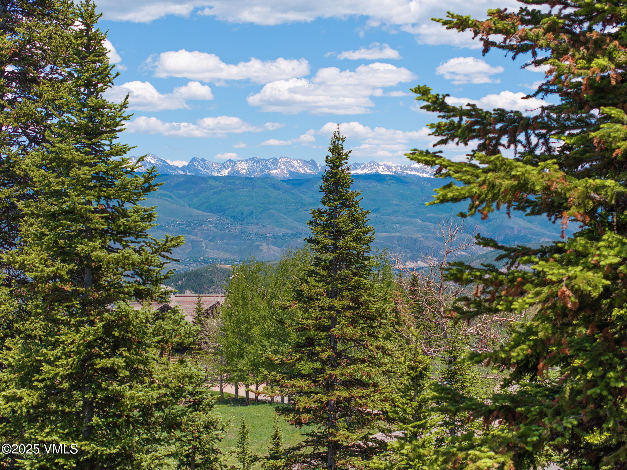 782 Granite Springs Trail Edwards, CO 81632 - Photo 2 of 33 a view of a garden