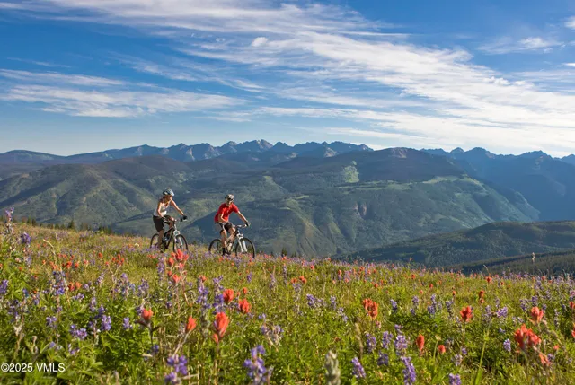 a view of a lake with a big yard