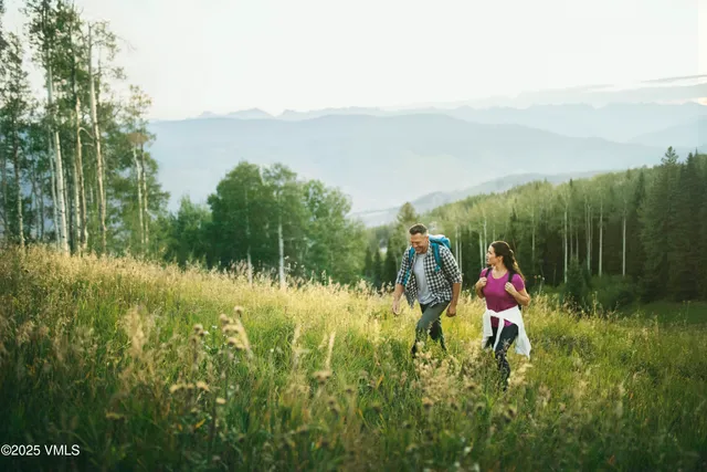 an aerial view of a house with outdoor space