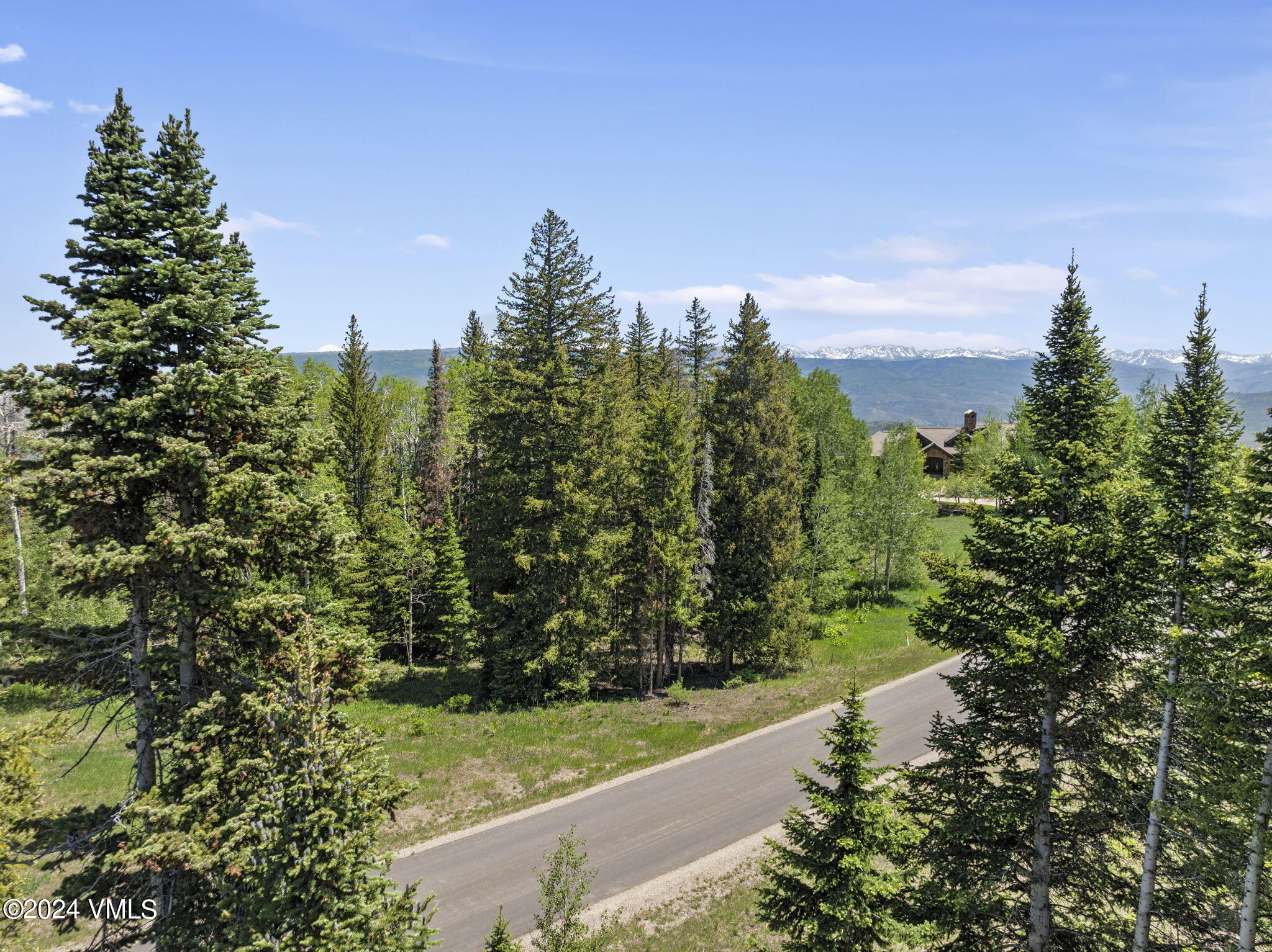782 Granite Springs Trail Edwards, CO 81632 - Photo 6 of 33 a view of a garden with large trees
