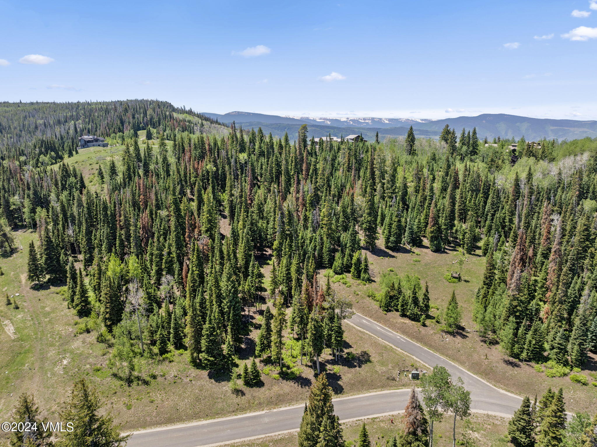 782 Granite Springs Trail Edwards, CO 81632 - Photo 7 of 33 a view of a garden