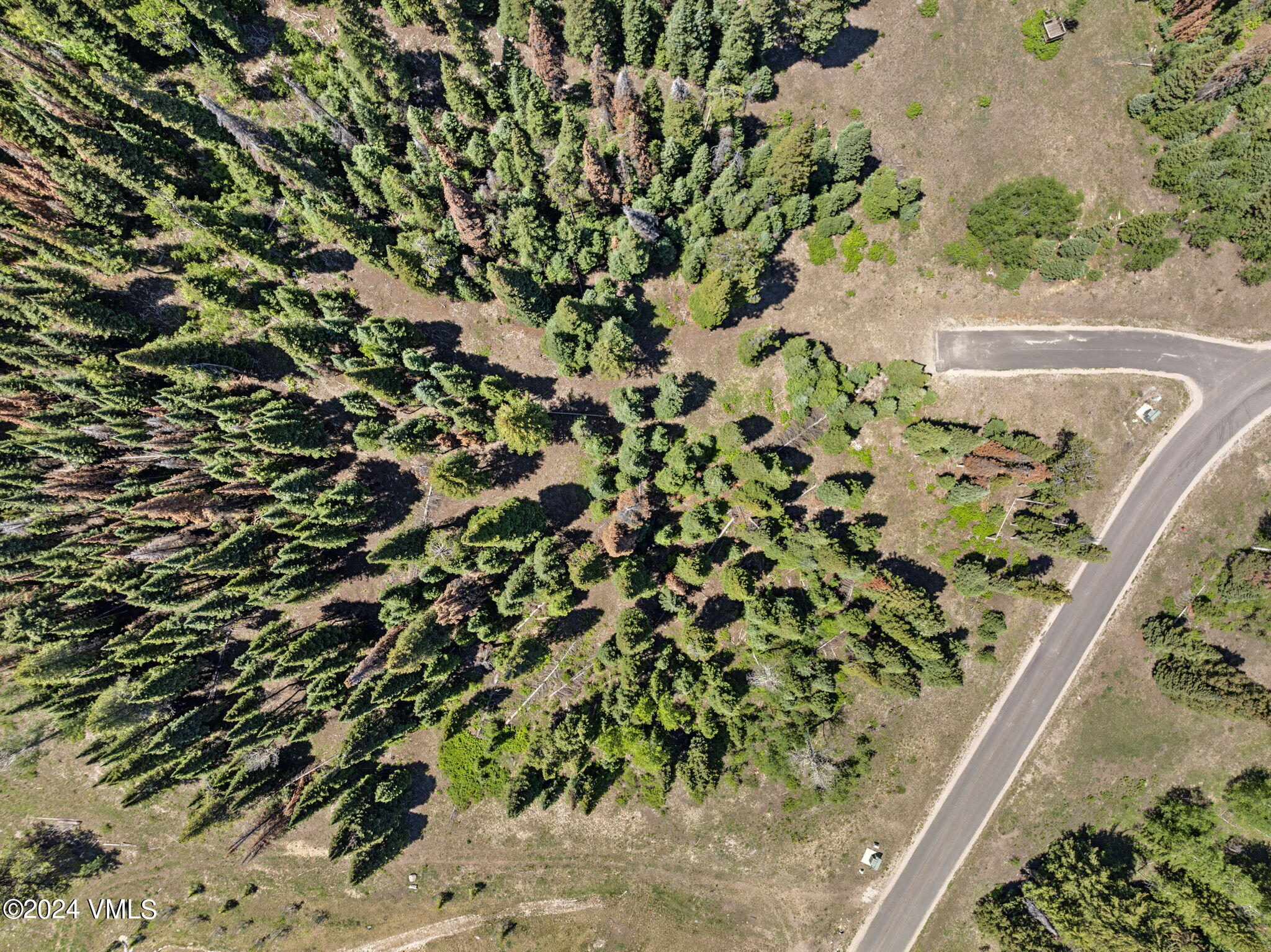 782 Granite Springs Trail Edwards, CO 81632 - Photo 9 of 33