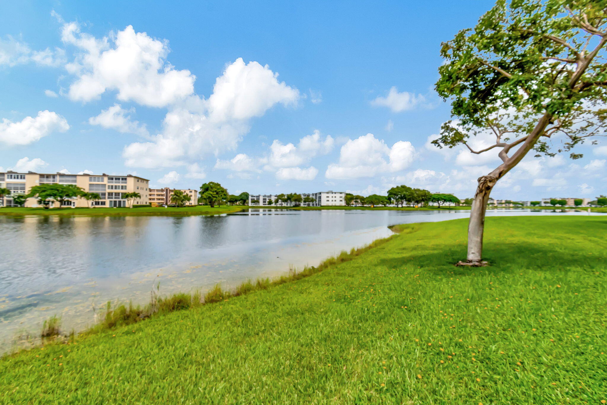 4050 Cornwall C Boca Raton, FL 33434 - Photo 39 of 80 41-web-or-mls-DSC_7369
