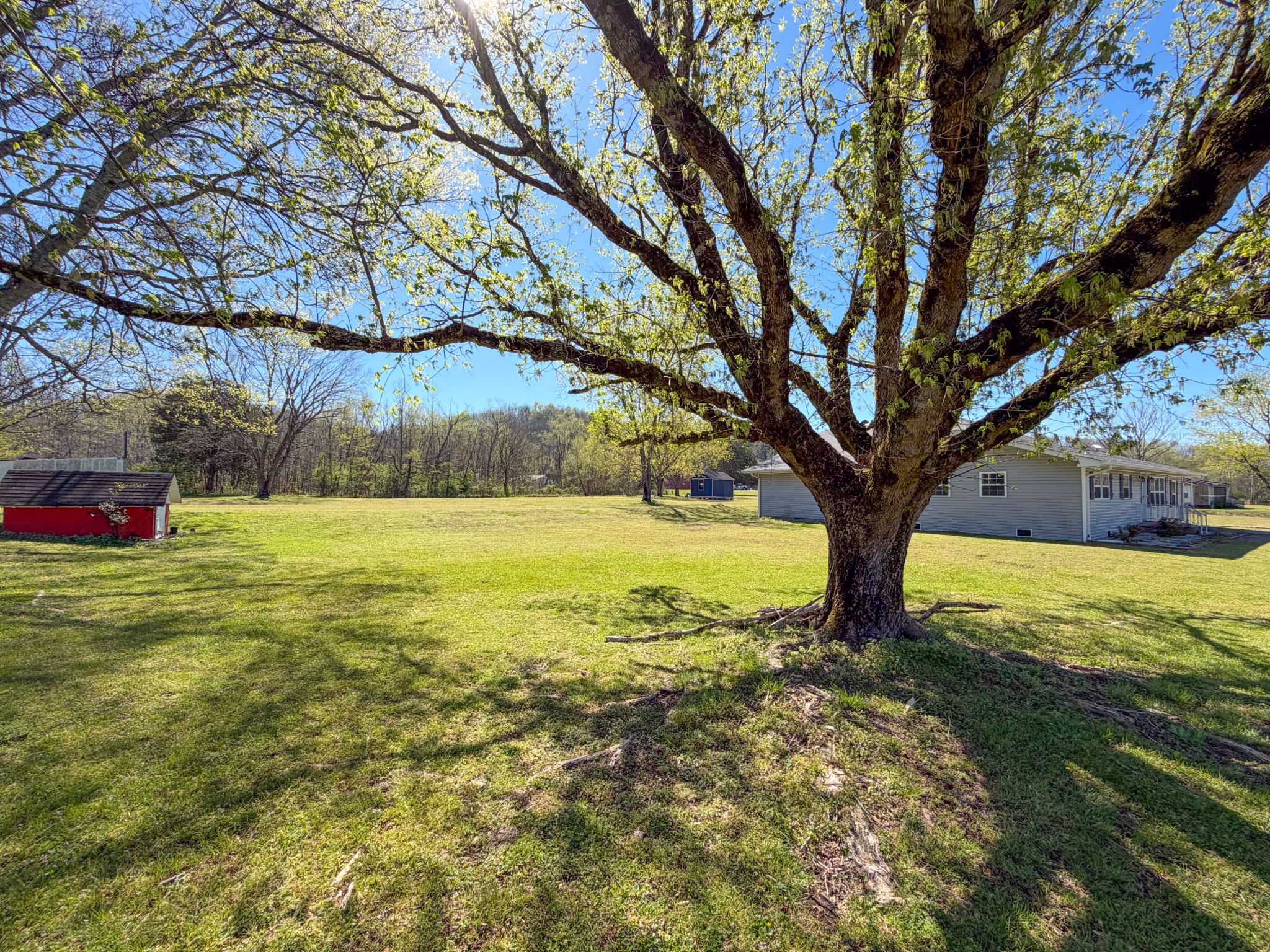 8941 Bethel Road Prospect, TN 38477 - Photo 48 of 50 Gallery Image 48
