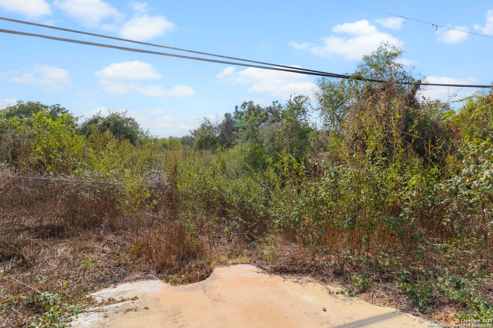 3810 New Mathis Road Elmendorf, TX 78112 - Photo 13 of 15 a view of a yard