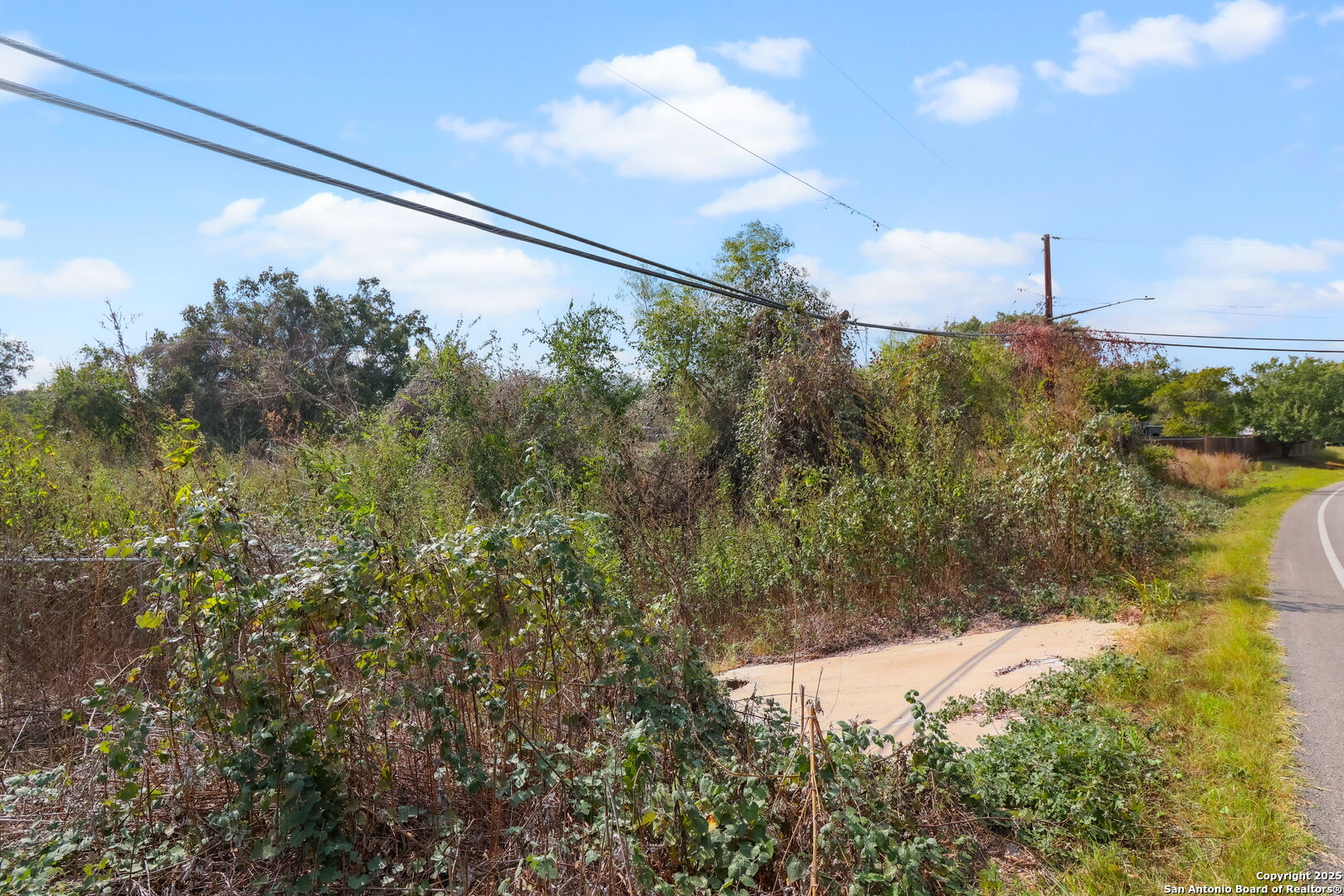 3810 New Mathis Road Elmendorf, TX 78112 - Photo 14 of 15 a close up of a tree in a yard