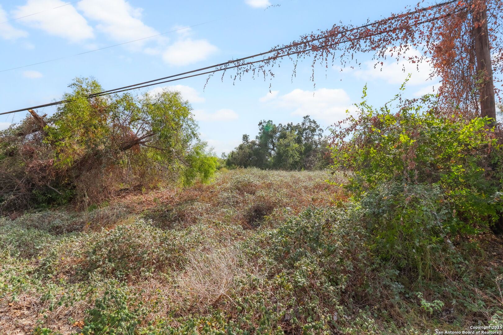 3810 New Mathis Road Elmendorf, TX 78112 - Photo 15 of 15 a view of a back yard