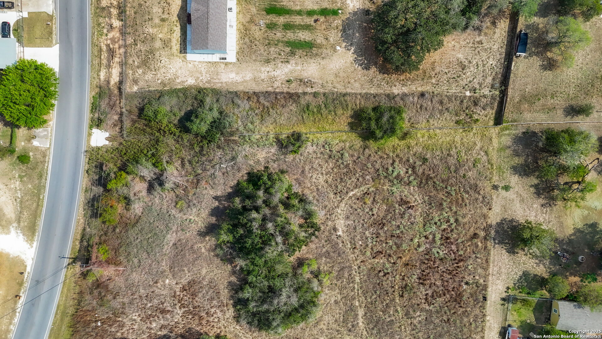 3810 New Mathis Road Elmendorf, TX 78112 - Photo 6 of 15 a view of a yard with plants and large trees