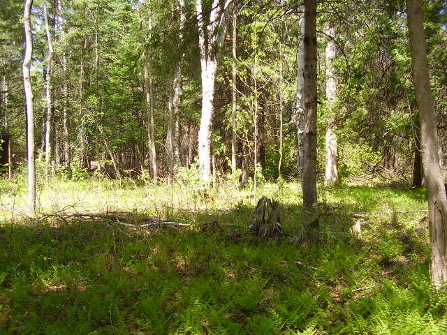 5609 North Abbe Road Comins, MI 48619 - Photo 32 of 32 Gallery Image 32